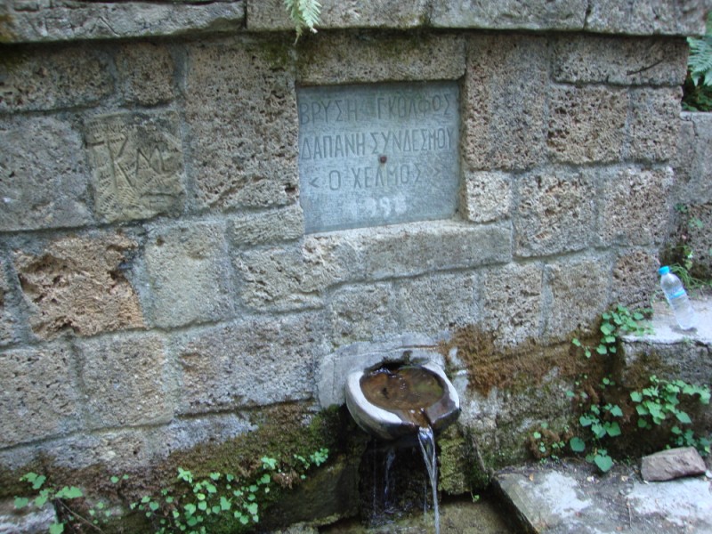 DSC06926.jpg