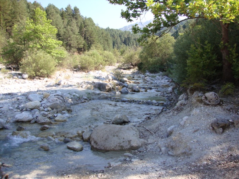 DSC06946.jpg
