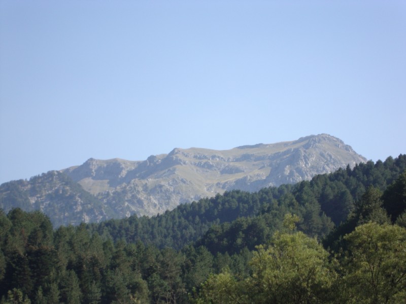 DSC06948.jpg