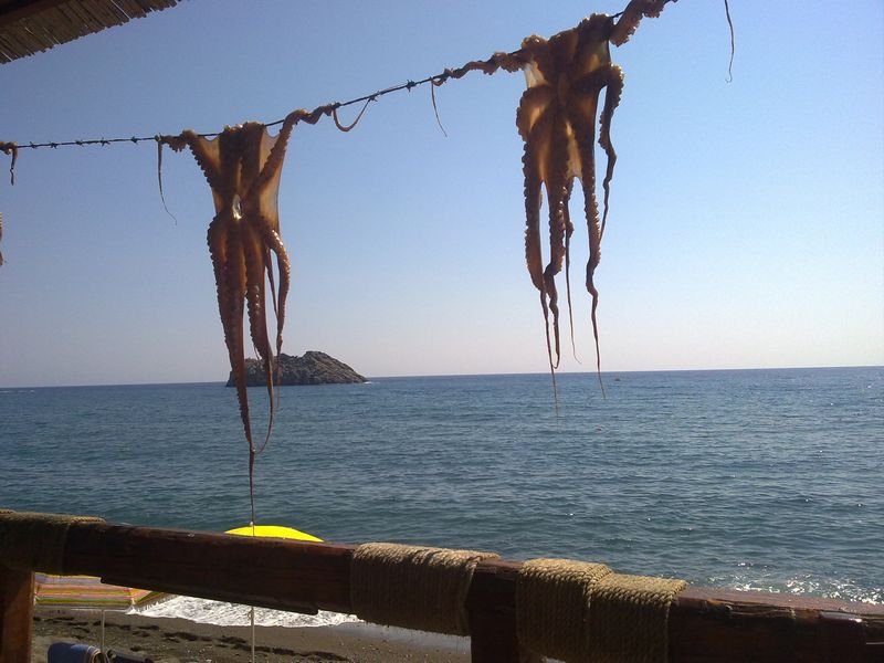 29082010128.jpg