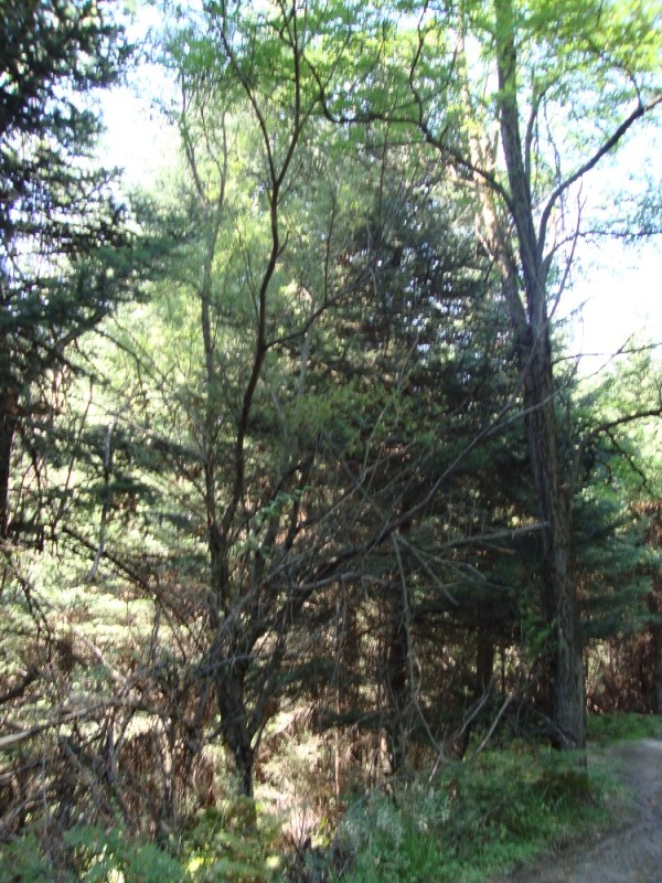 DSC06925.jpg