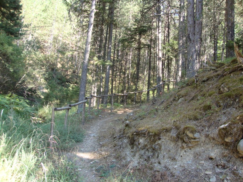 DSC06938.jpg