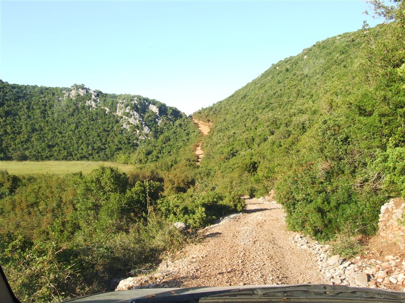 DSCF7054.jpg