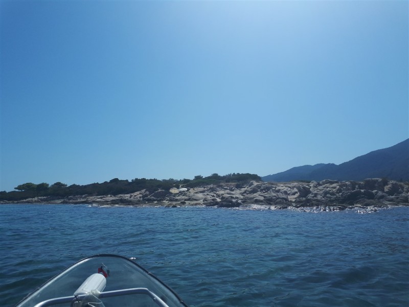 kayak.jpg