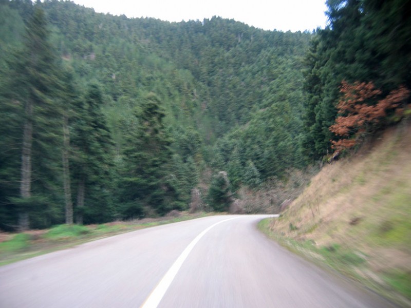 210.jpg