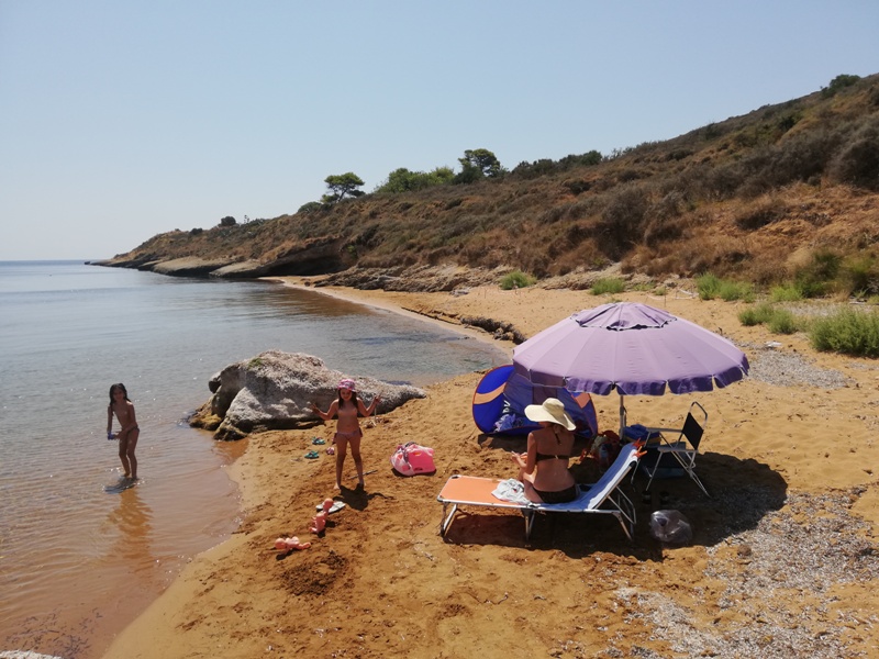 IMG_20190824_133846.jpg