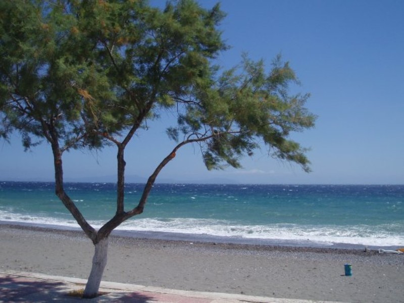 φραγκακι (800 x 600).jpg