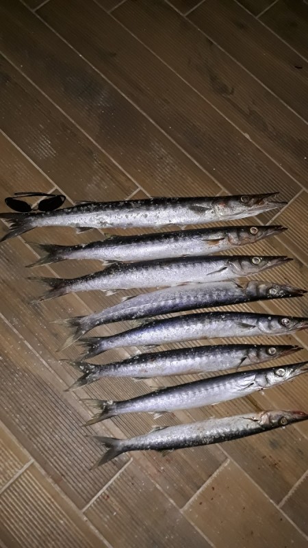 20190914_234859.jpg