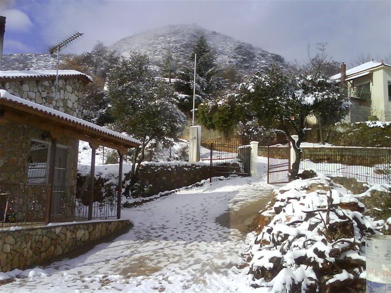 DSC00956 (Medium).JPG
