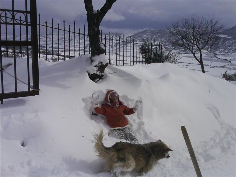 DSC00957 (Medium).JPG