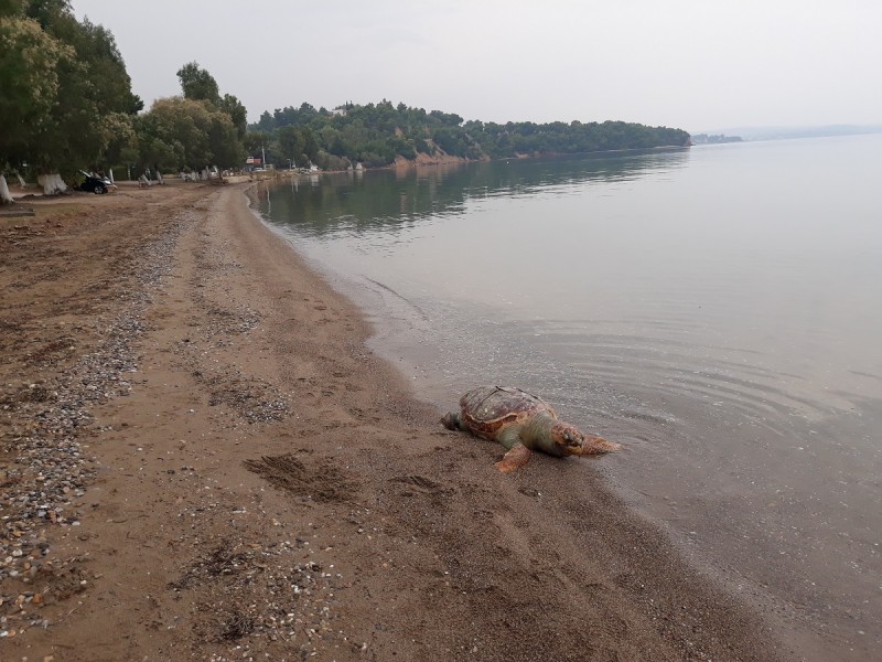 20191031_120137[1].jpg