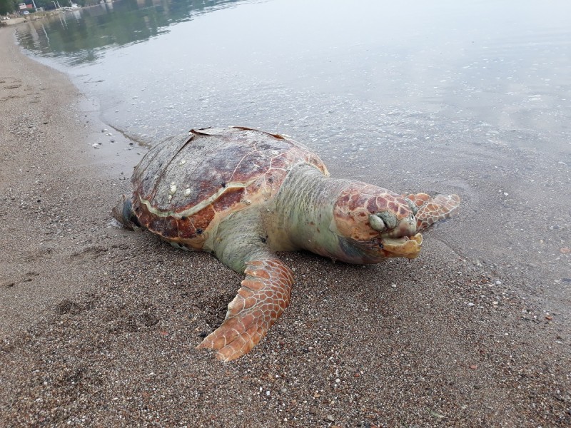 20191031_120003[1].jpg