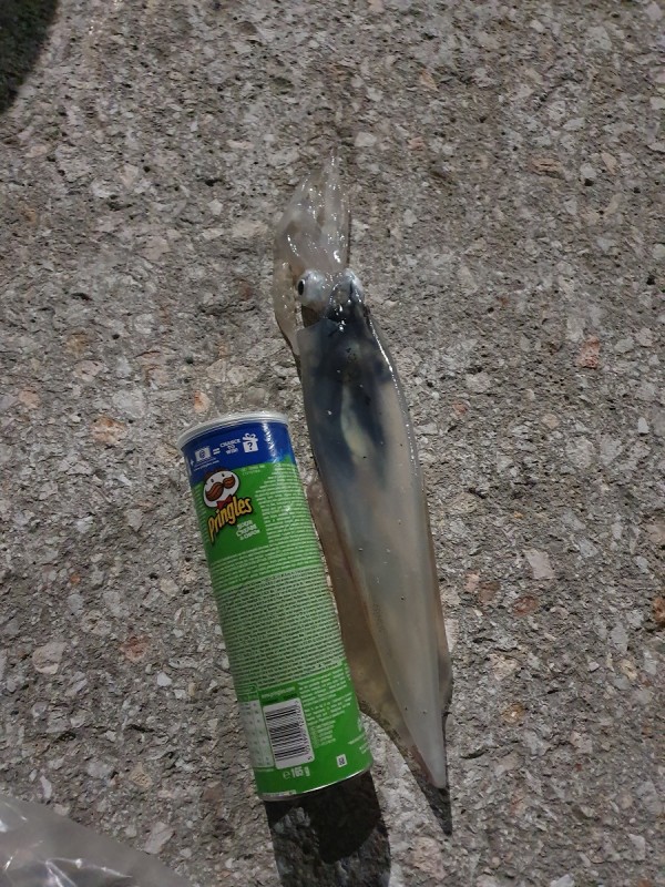 20191103_211842.jpg