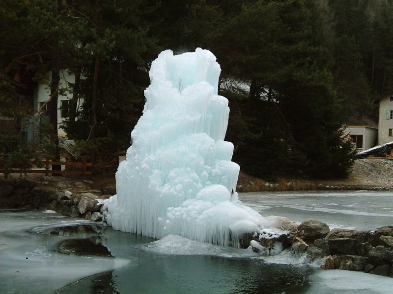 DSCF0011vit.JPG