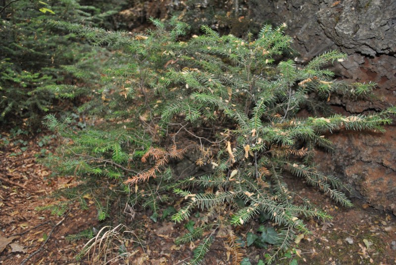 DSC_2916.jpg