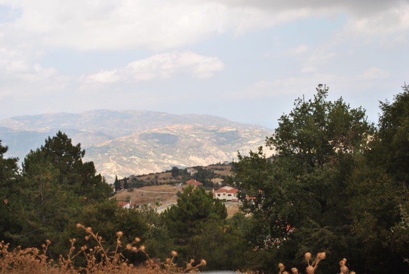 DSC_2983.jpg