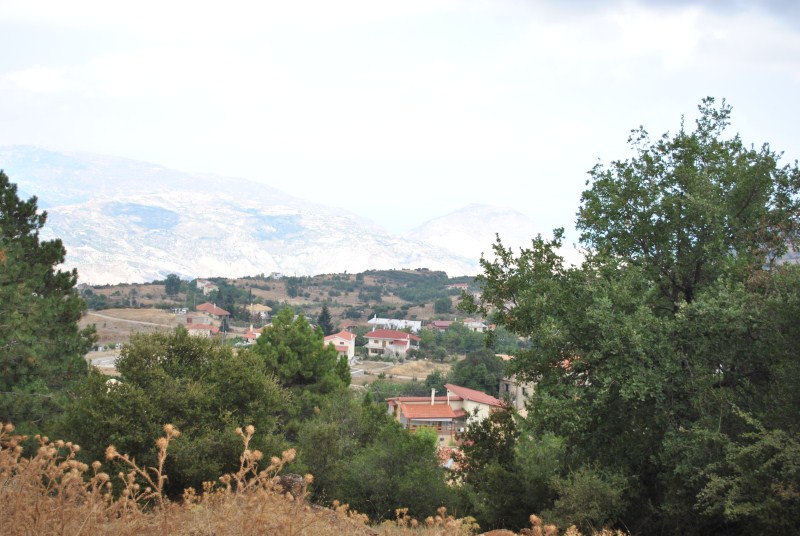 DSC_2984.jpg
