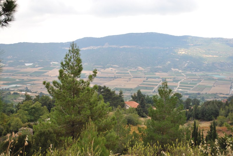 DSC_3013.jpg