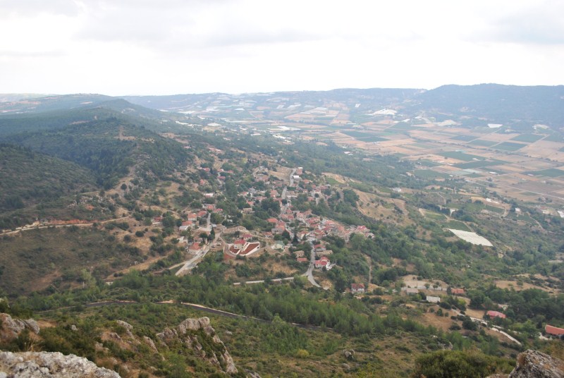 DSC_3019.jpg