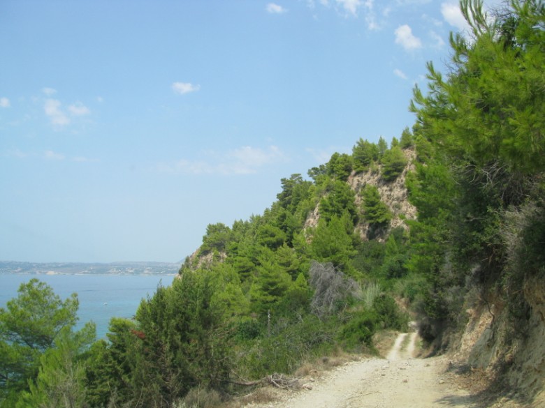 IMG_0001.jpg