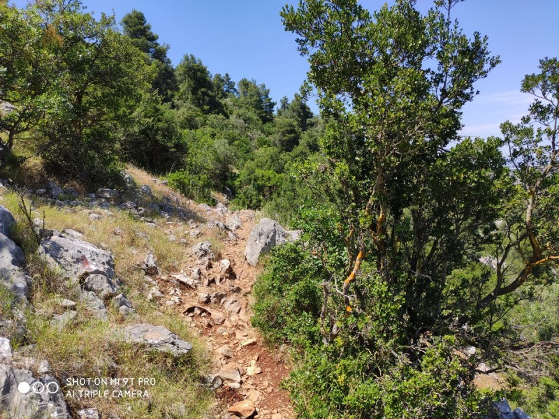 Path2AgiaMarina.jpg