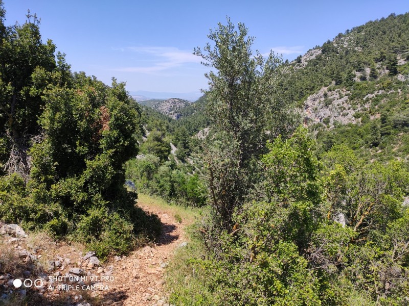Path2AgiaMarina1.jpg