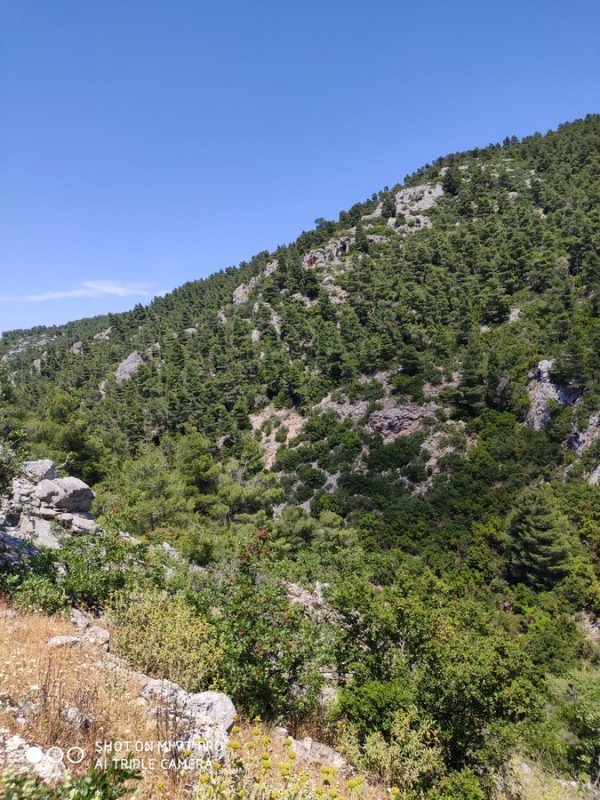 Path2AgiaMarina3.jpg