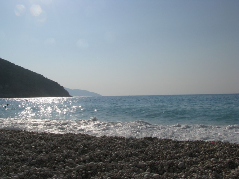 IMG_0254.jpg