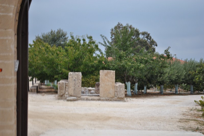 DSC_3062.jpg