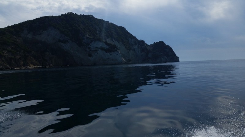 20170603_102554.jpg