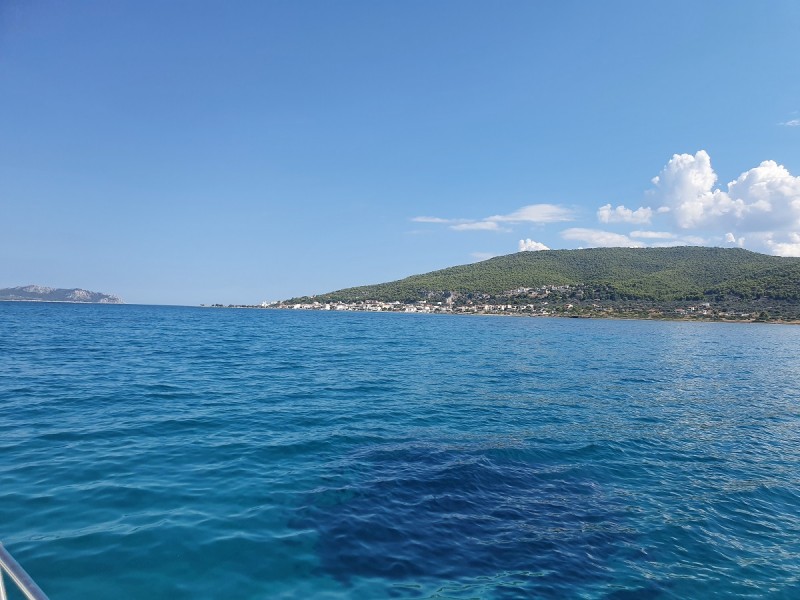 20200808_160814.jpg