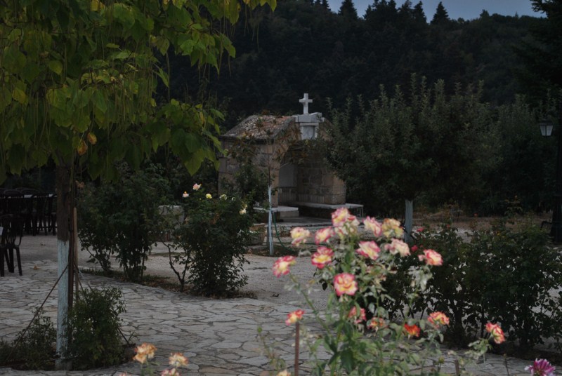 DSC_3083.jpg