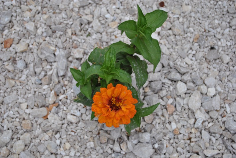 DSC_3091.jpg