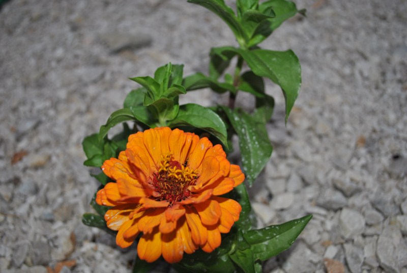 DSC_3092.jpg