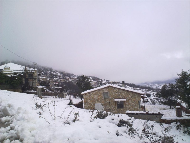 22012010068 (Large).jpg