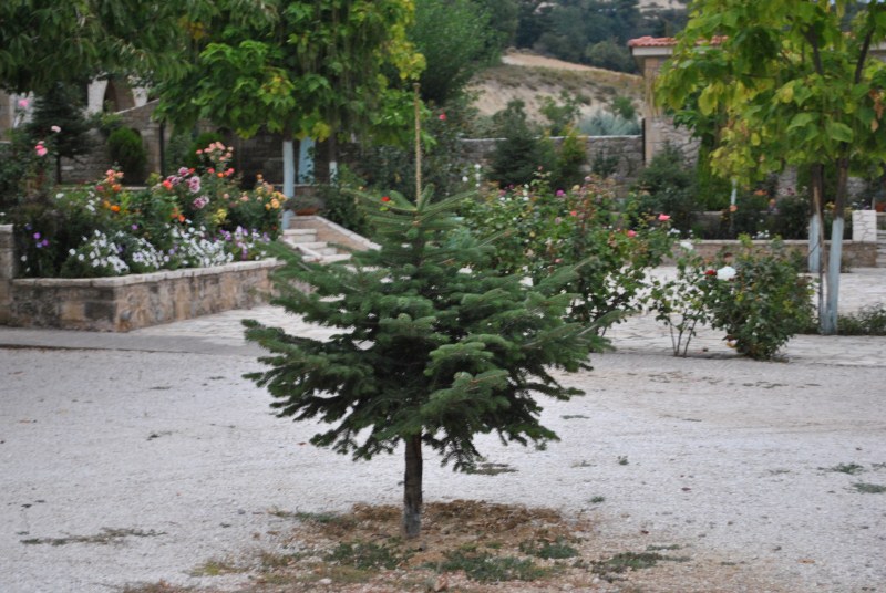 DSC_3102.jpg