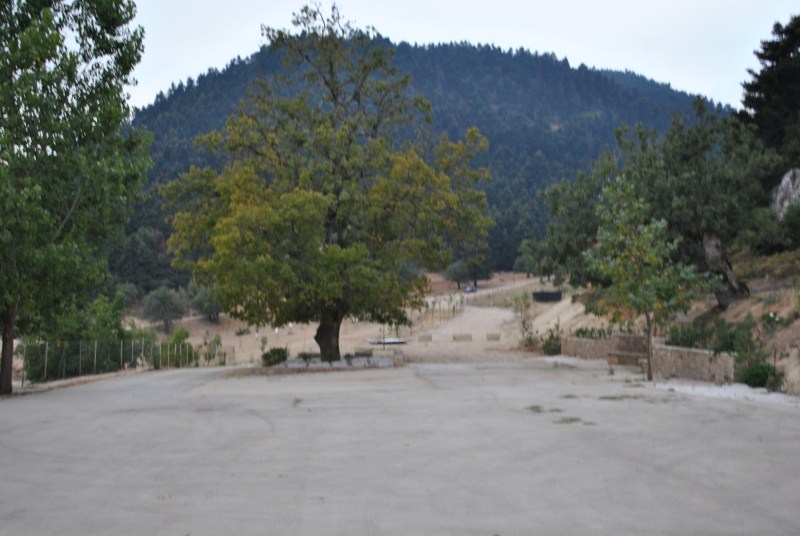 DSC_3113.jpg