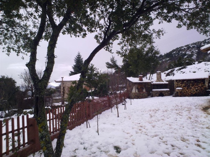 22012010071 (Large).jpg