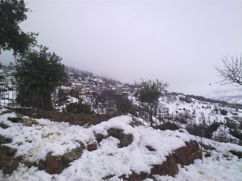 22012010072 (Large).jpg
