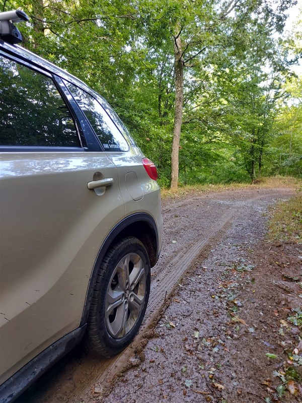 mud trail.jpg