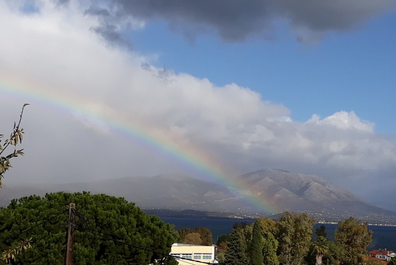 res 20201119_124433.jpg