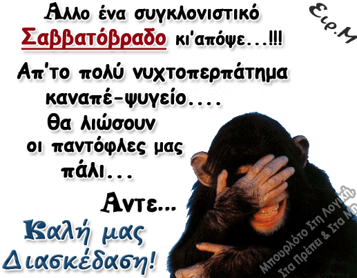 maimou.gif