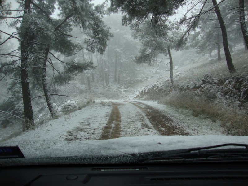 DSC00369 - Αντίγραφο.JPG