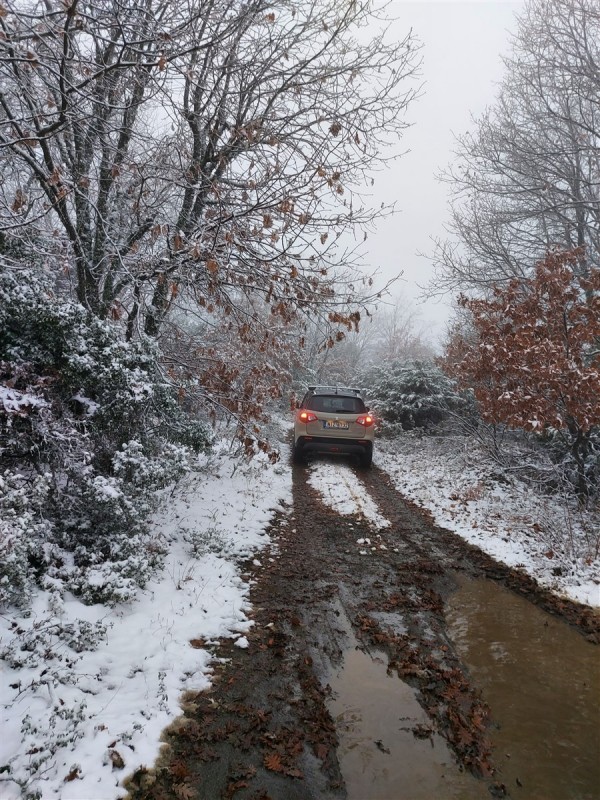 snow 2021 dec.jpg