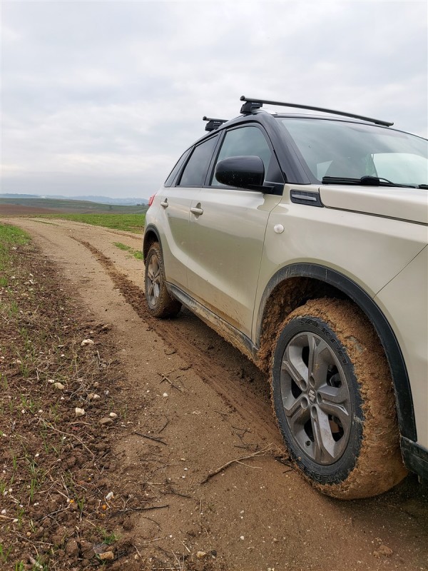 mud trail.jpg