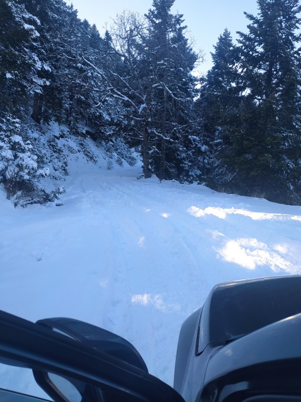 IMG_20220130_164550.jpg