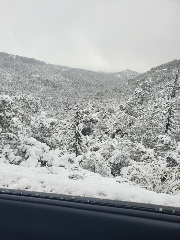 20220320_073537.jpg