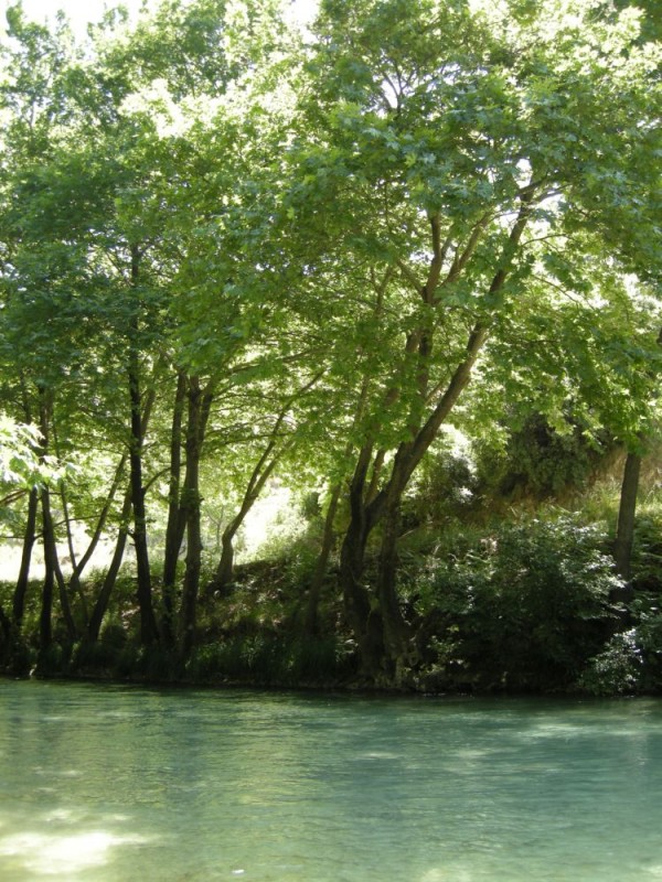 DSCN0324.JPG