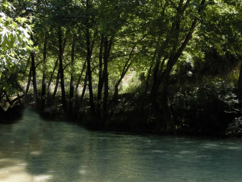 DSCN0327.JPG