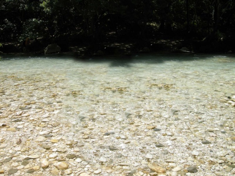 DSCN0335.JPG